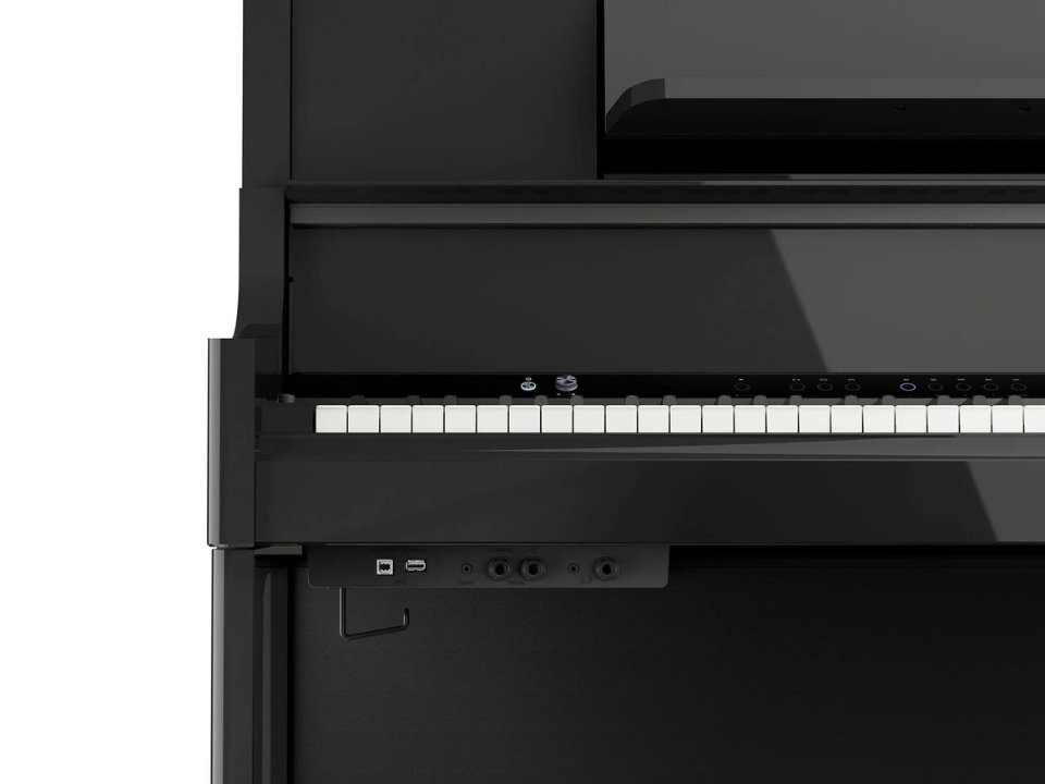 ROLAND LX-9 PE - Ảnh thực tế 3